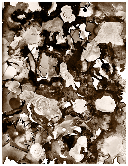ALC-001-C